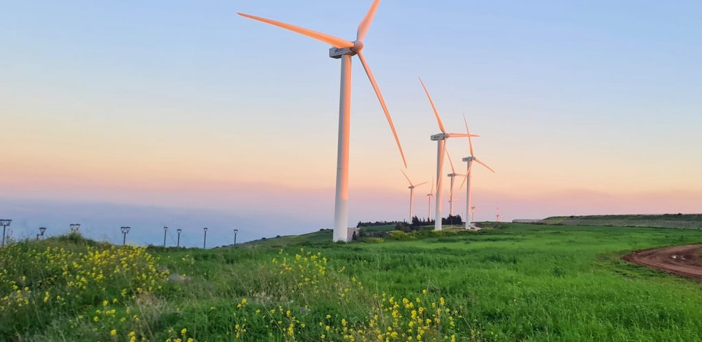 צילום: אסתר קליינמן